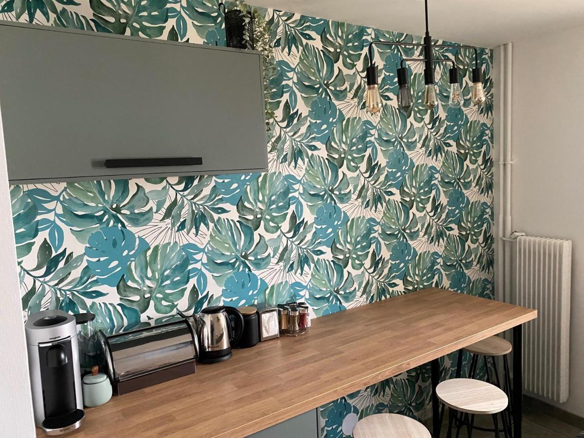 Magnifique Appartement Au Coeur De มูลูส ภายนอก รูปภาพ