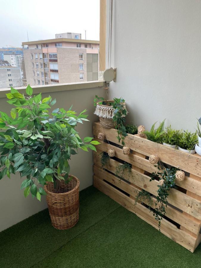 Magnifique Appartement Au Coeur De มูลูส ภายนอก รูปภาพ